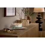 CEDARWOOD & OCEAN MOSS